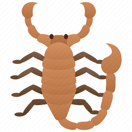 Arachnid, dangerous, poison, predator, scorpion icon - Download on Iconfinder