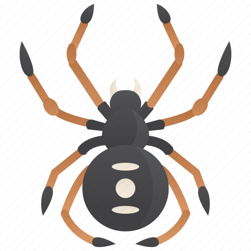 Dangerous, poisonous, spider, widow icon - Download on Iconfinder