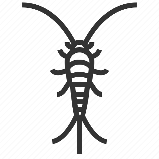 Silverfish, animal, bug, insect icon - Download on Iconfinder