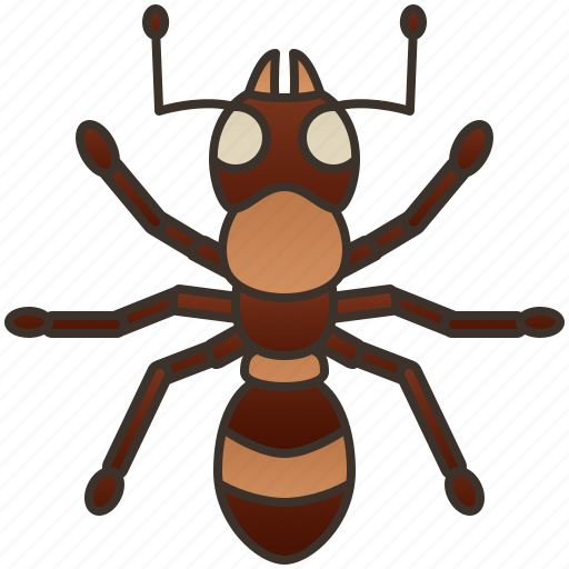 Animal, ant, insect, pest, worker icon - Download on Iconfinder