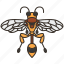 bee, hymenoptera, sting, striped, wasp 