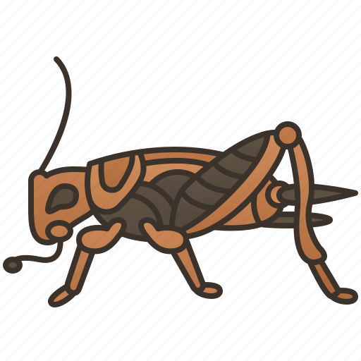Bugs, chirping, cricket, gryllidae, insect icon - Download on Iconfinder