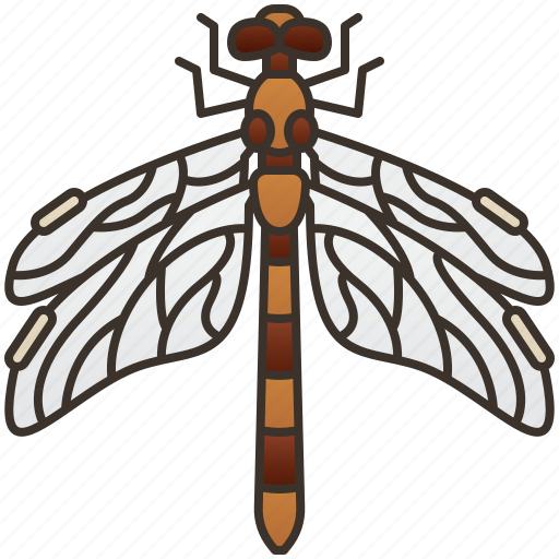 Dragonfly, entomology, environment, insect, slim icon - Download on Iconfinder
