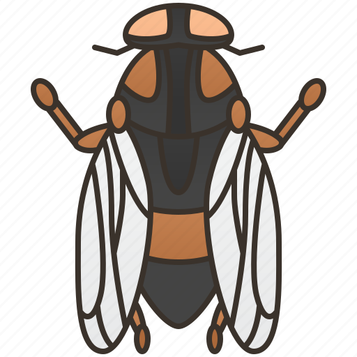 Gadfly, horsefly, insect, pest, sting icon - Download on Iconfinder