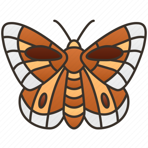 Butterfly, fauna, flower, lycaenidae, pollinator icon - Download on Iconfinder