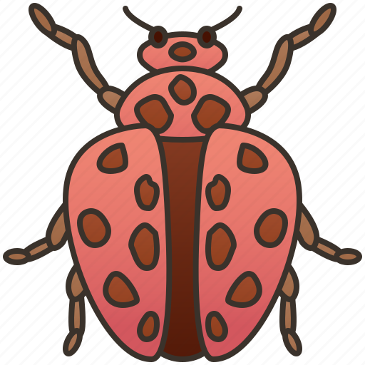 Bug, insect, ladybird, psyllobora, viigintiduopunctata icon - Download on Iconfinder