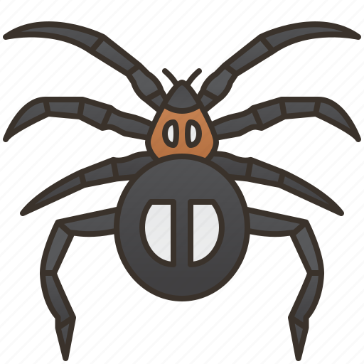 Arachnid, invertebrate, pest, spider, web icon - Download on Iconfinder
