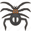 arachnid, invertebrate, pest, spider, web 