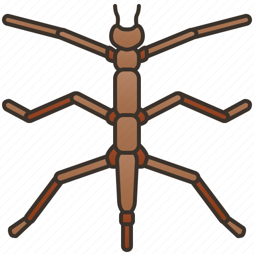 Bug, insect, pest, thrips, thysanoptera icon - Download on Iconfinder
