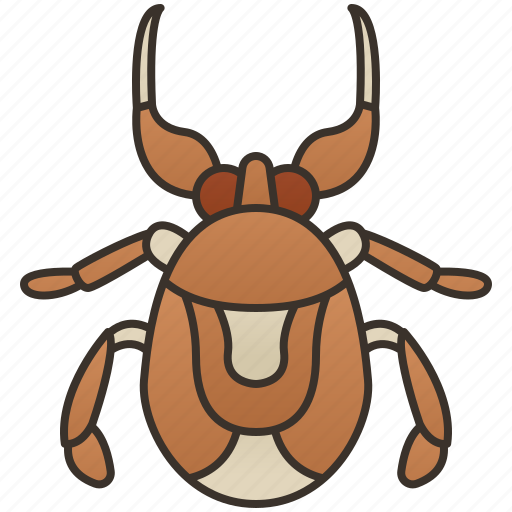 Bug, giant, insect, pond, water icon - Download on Iconfinder