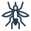 mosquito 