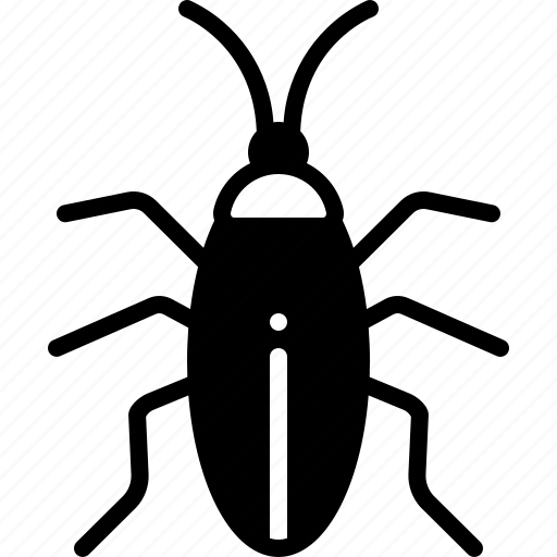 Blattodea, bug, cockroach, croton bug, disease, insect, prejudicial icon - Download on Iconfinder