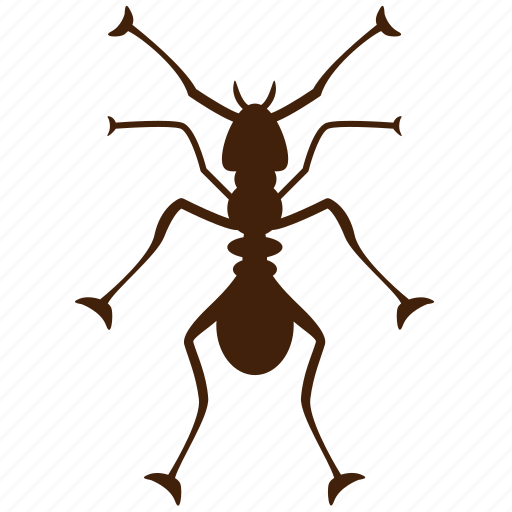 Ant, black ant, fire ant, formic, insect, insect pests, insecticide icon - Download on Iconfinder