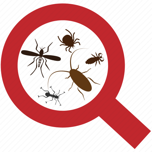 Bug, cockroach, cockroaches, insect, insect pests, insecticide, mosquitoes icon - Download on Iconfinder