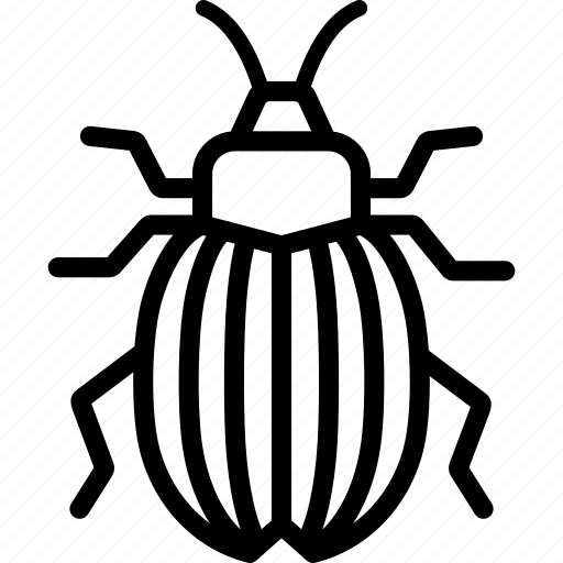 Beetle, bug, potato, colorado icon - Download on Iconfinder