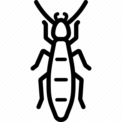 Ant, pheidole, termite, white icon - Download on Iconfinder