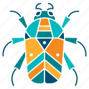 animal, beetle, bug, fly, insect, nature, summer