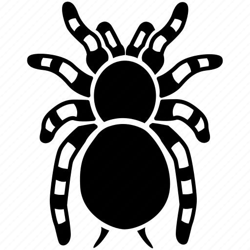 Arachnid, creepy, hairy, halloween, scary, spider, tarantula icon - Download on Iconfinder
