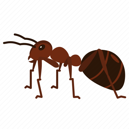 Ant, ants, arthropod, insects, animal icon - Download on Iconfinder