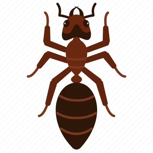 Ant, ants, arthropod, insects, animal, pest icon - Download on Iconfinder