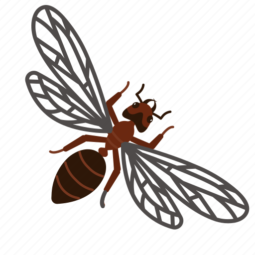 Ant, ants, winged, flyingant, arthropod, insects, animal icon - Download on Iconfinder