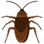 cockroach, insect, pest, waterbug, bombaycanary, animal, entomology 