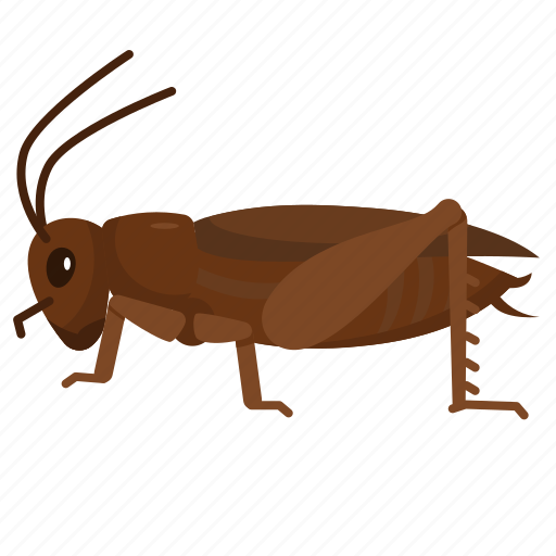 Cricket, entomology, insects, animal, pest icon - Download on Iconfinder