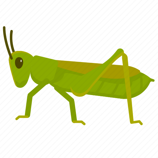 Cricket, entomology, insects, animal, pest, grasshopper icon - Download on Iconfinder