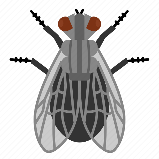 Fly, flies, diptera, insects, animal, pest icon - Download on Iconfinder