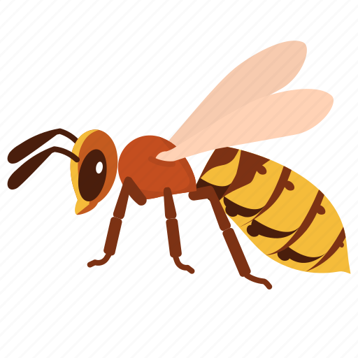 Hornet, pest, entomology, insects, animal, wasp, stings icon - Download on Iconfinder