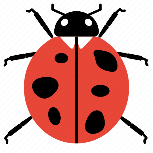 Ladybugs, ladybird, beetles, animal, insects, coleoptera, entomology icon - Download on Iconfinder