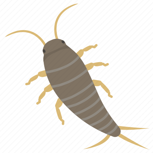 Silverfish, arthropod, insects, animal, pest, contamination icon - Download on Iconfinder