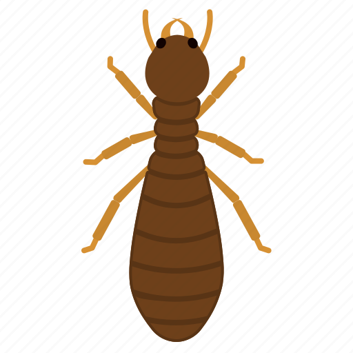 Termite, king, insect, pest, animal icon - Download on Iconfinder