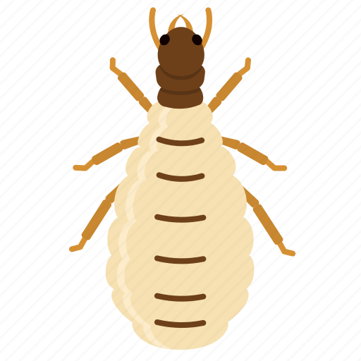 Termite, queen, pest, reproduction, insect, animal icon - Download on Iconfinder