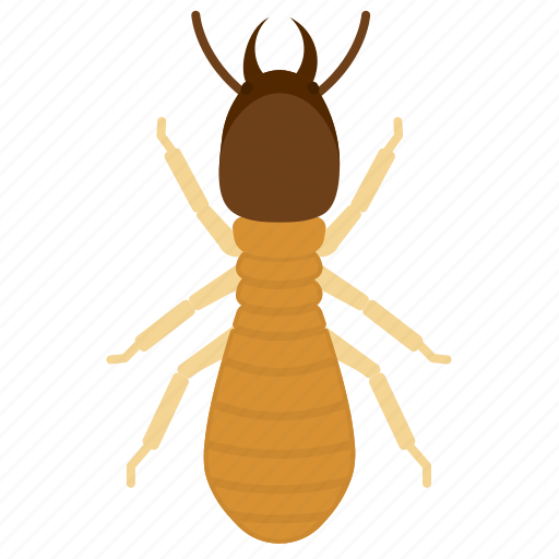 Termite, soldier, insect, animal, pest icon - Download on Iconfinder