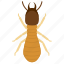 termite, soldier, insect, animal, pest 