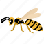 wasp, yellowjacket, entomology, insects, animal, hornet, stings 