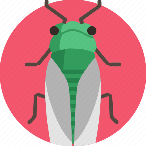 Cicada icon - Download on Iconfinder on Iconfinder