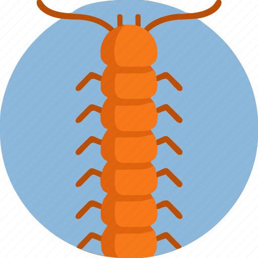 Centipede icon - Download on Iconfinder on Iconfinder