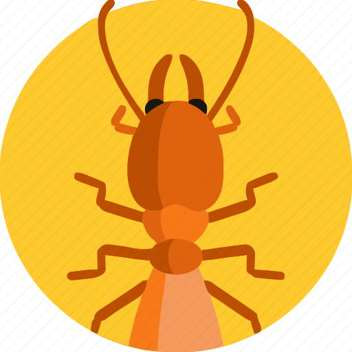 Termite icon - Download on Iconfinder on Iconfinder