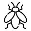 animal, animals, insect, fly, bug, line 