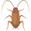 cockroach, control, exterminator, insect, pest, roach, spray 