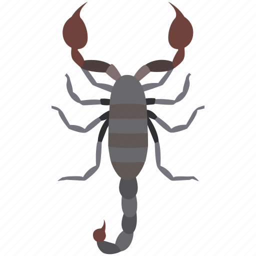 Animal, arachnid, deadly, scorpio, scorpion, serket, tattoo icon - Download on Iconfinder
