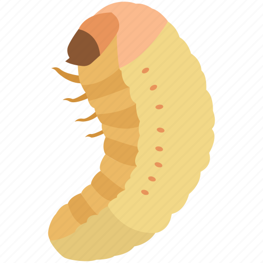 Grub, larva, larvae, larval, maggot, pupa, silkworm icon - Download on Iconfinder