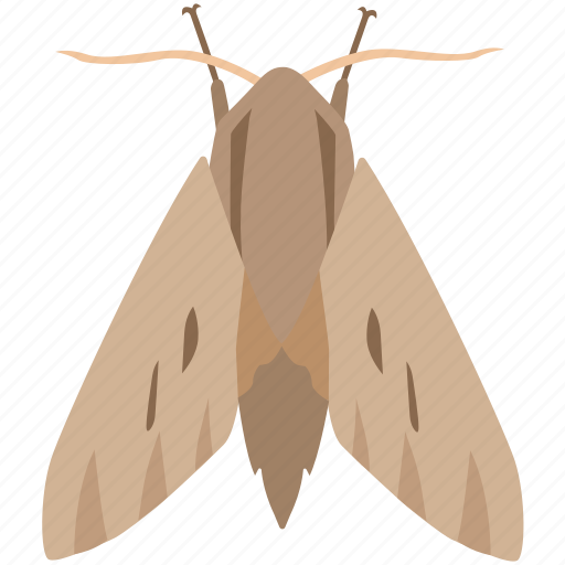Bug, codling, flying, gypsy, insect, moth, pest icon - Download on Iconfinder