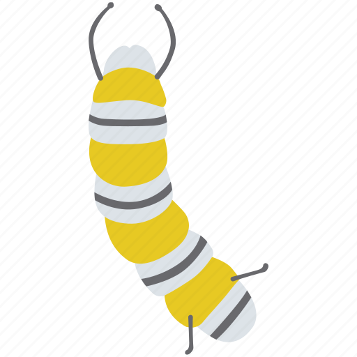 Caterpillar, grub, inchworm, larva, looper, silkworm, worm icon - Download on Iconfinder