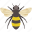 bee, bumble, bumblebee, buzz, hive, honey, pollen 