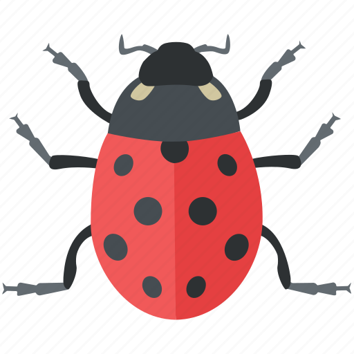 Beetle, bug, cute, lady, ladybeetle, ladybird, ladybug icon - Download on Iconfinder