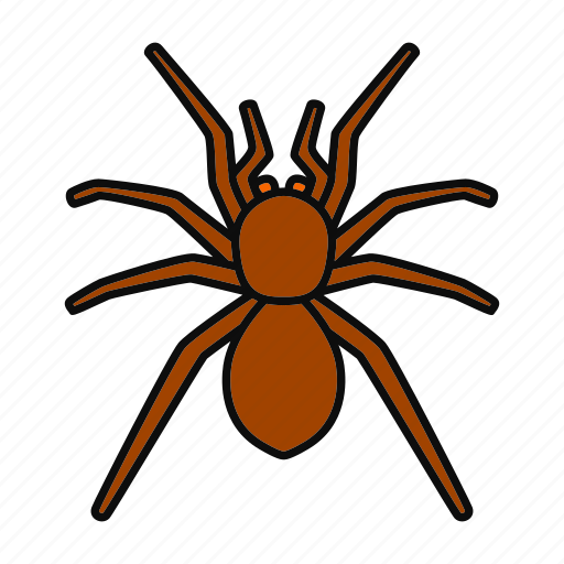 Animal, arachnida, bug, insect, poisonous, spider, tarantula icon - Download on Iconfinder