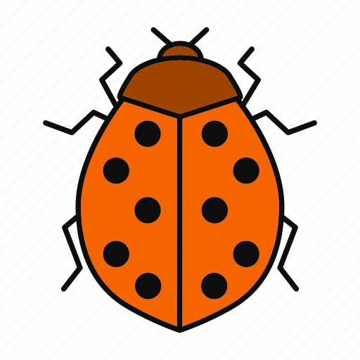 Beetle, bug, coccinellidae, insect, ladybird, ladybug, spotted icon - Download on Iconfinder